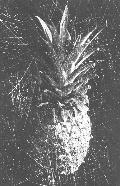 Scratched Pineapple