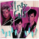 Stray Cats