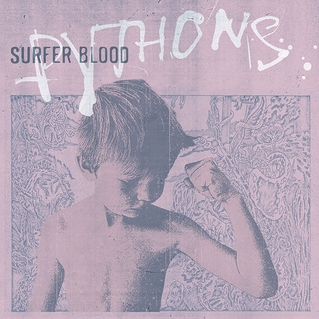 Surfer Blood