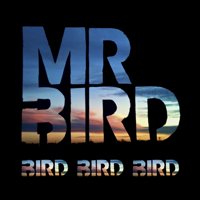 Mr. Bird