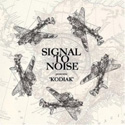 Signal To Noise