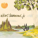 Albert Hammond Jr.