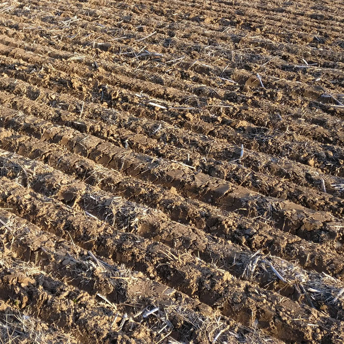 Furrows