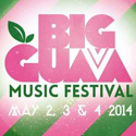 Big Guava Festival featuring Outkast, Vampire Weekend, Foster th