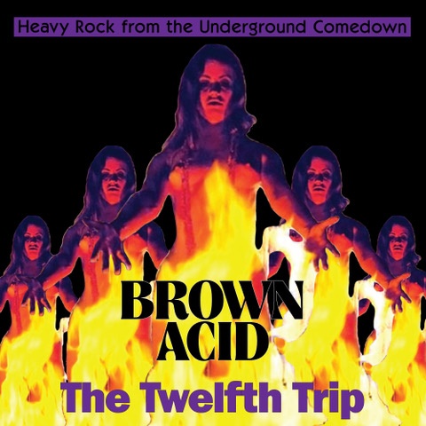 Brown Acid: The 12th Trip