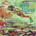 David Kilgour